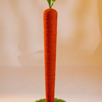 Carrot